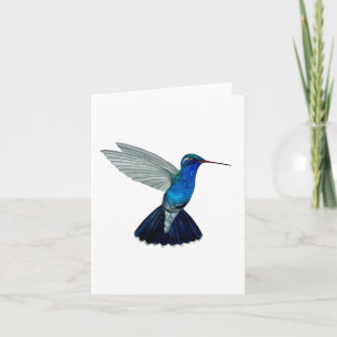 Doubleday's hummingbird  card