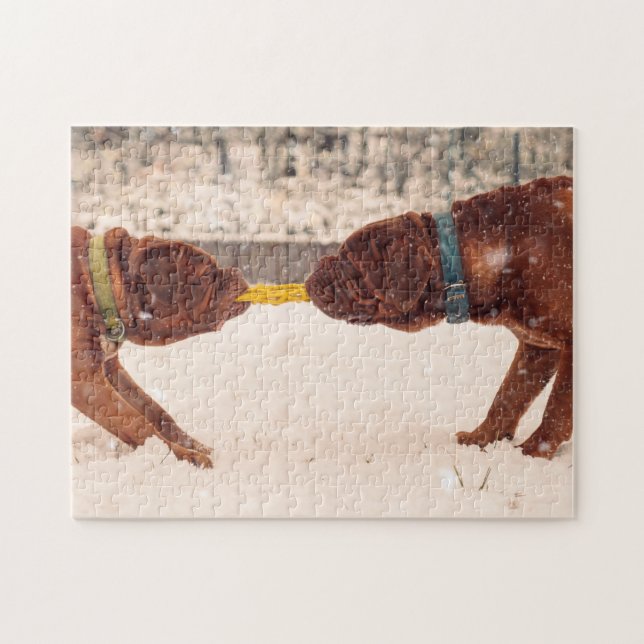 Douge De Bordeaux Tug of War Jigsaw Puzzle (Horizontal)