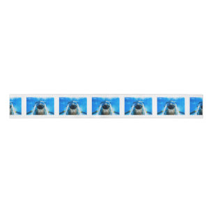 Douglas DC-3 Aircraft Grosgrain Ribbon