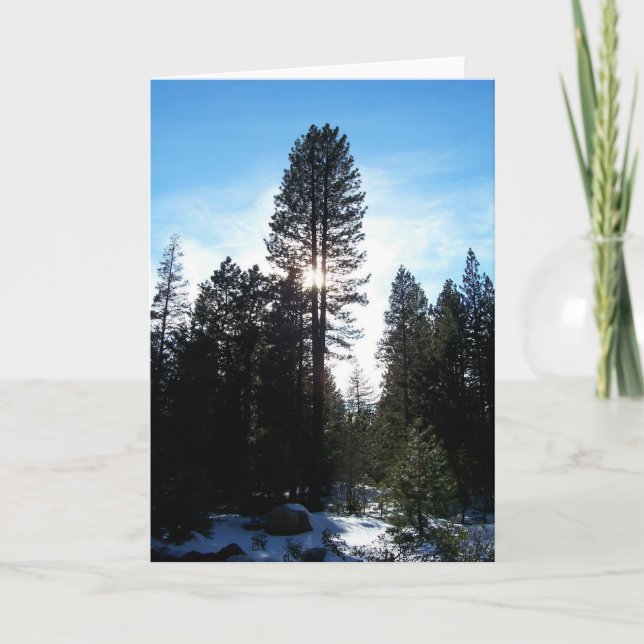 Douglas Fir Holiday Card (Front)