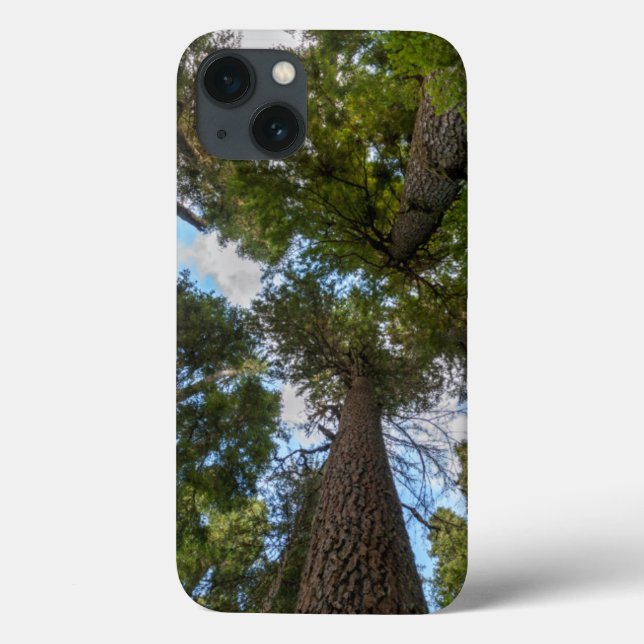 Douglas Fir tree canopy Case-Mate iPhone Case (Back)