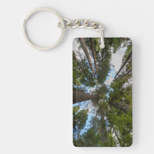 Douglas Fir tree canopy Key Ring