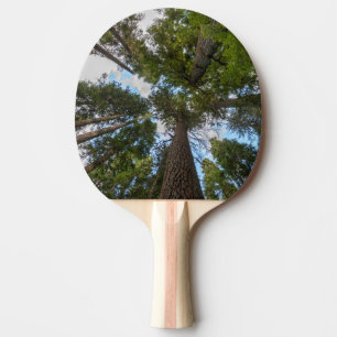 Douglas Fir tree canopy Ping Pong Paddle