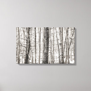 Douglas Woods Canvas Print