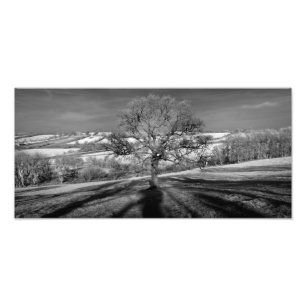 Doulting Hill Panorama Photo Print