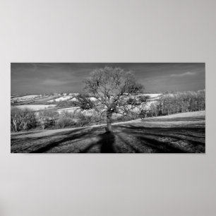 Doulting Hill Panorama Poster