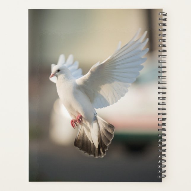 Dove and Pigeons Birds Photography Planner (Back)