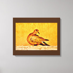 Dove Beauty Canvas Print