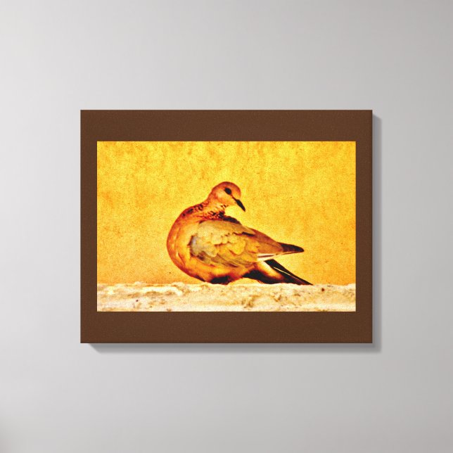 Dove Beauty Canvas Print (Front)