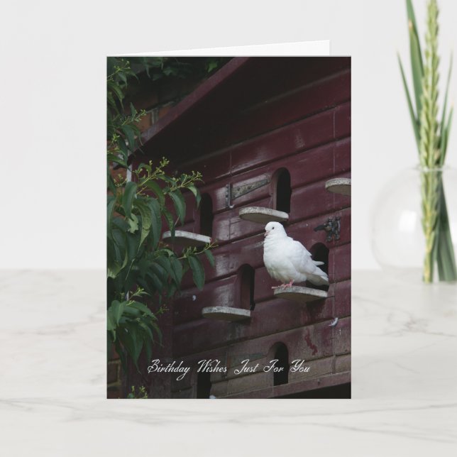 Dove Birthday Greeting Card (Front)