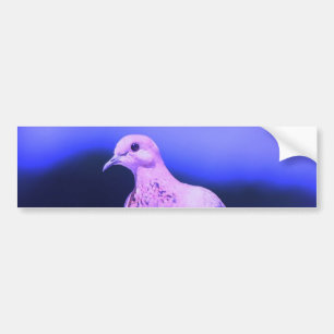 Dove Bumper Sticker