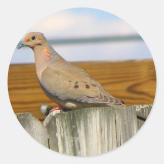 Dove Classic Round Sticker