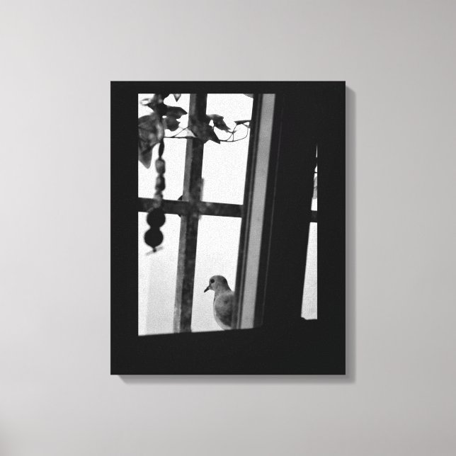 Dove Daydreams Canvas Print (Front)