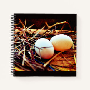 Dove Eggs Notebook