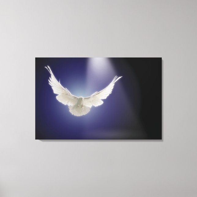 Dove flying through beam of light canvas print (Front)