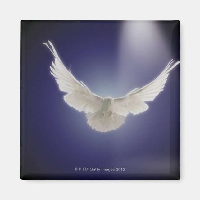 Dove flying through beam of light magnet (Front)
