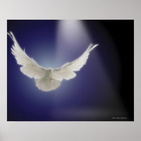 Dove flying through beam of light