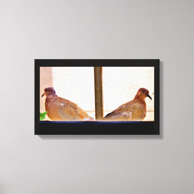 Dove Friends Canvas Print (Front)