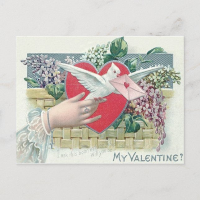 Dove Heart Forget-Me-Not Valentine Holiday Postcard (Front)
