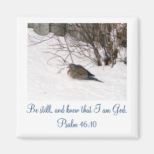 Dove in the Snow Scipture Magnet