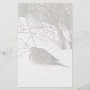 Dove in the Snow Stationery