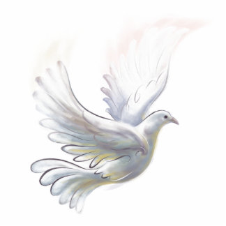 Dove Magnet Photo Sculpture Magnet