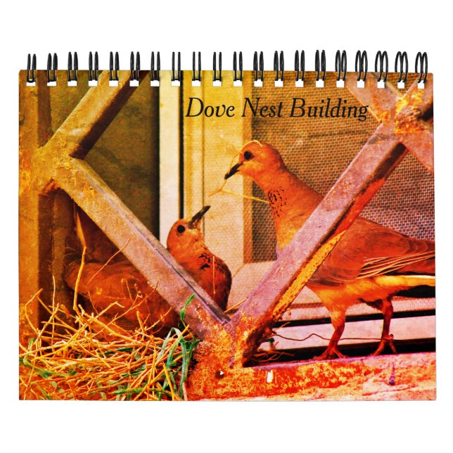 Dove Nest Building Calendar (Cover)