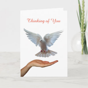 Dove of Peace image for Get well greeting card