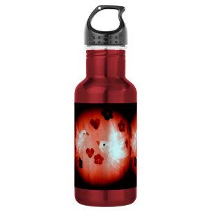 Dove Painting Love Birds 532 Ml Water Bottle