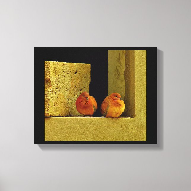 Dove Pair Canvas Print (Front)