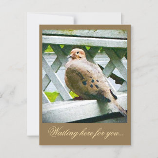 " DOVE " POSTCARD