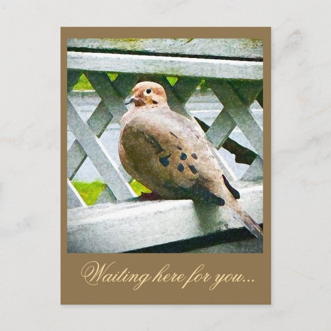 " DOVE " POSTCARD (Front)