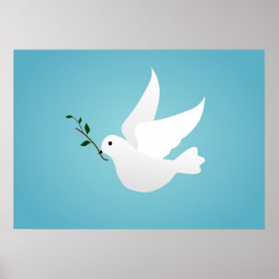 Dove Poster