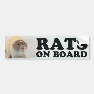 (Dove) Rats on Board Bumper Sticker
