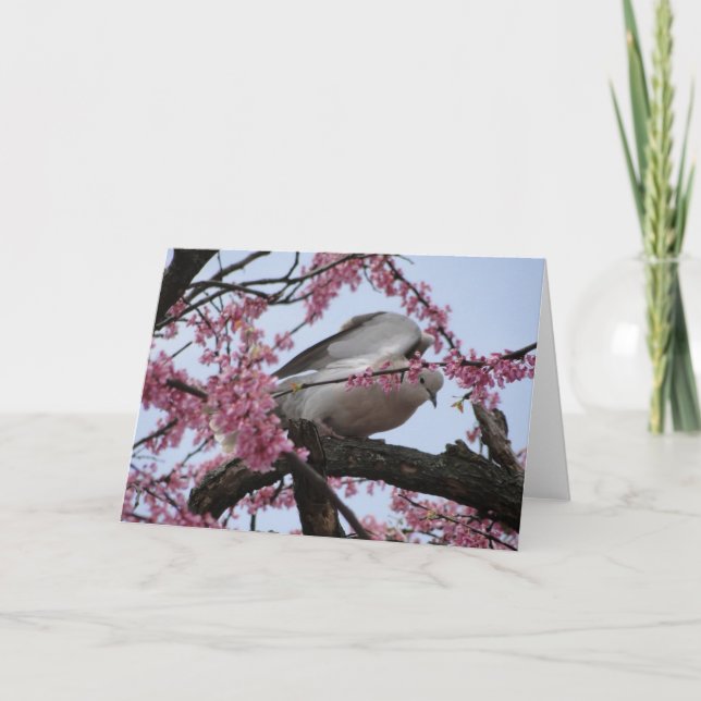 Dove & Redbud Blossoms Card (Front)
