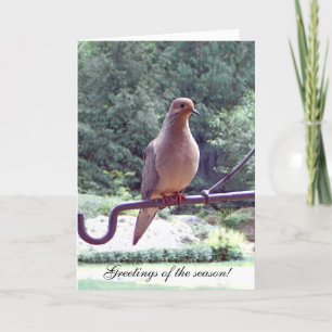Dove  spring  solstice Easter greeting card