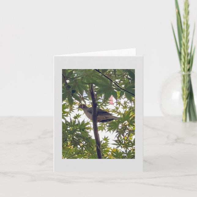 dove waiting card (Front)