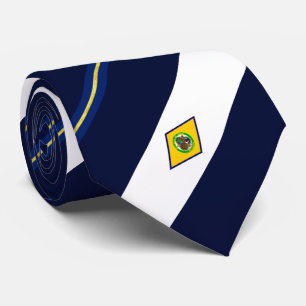 Dover (Delaware) city flag Neck Tie