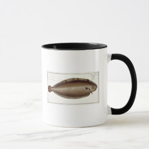 Dover Sole (Solea Solaea) plate XLV from 'Ichthyol Mug