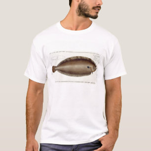 Dover Sole (Solea Solaea) plate XLV from 'Ichthyol T-Shirt
