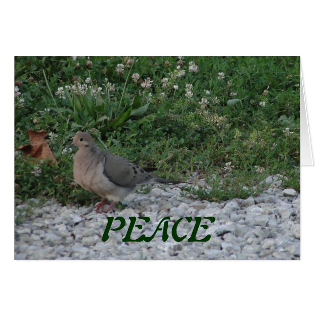 Doves, Colossians 3:15 (Front Horizontal)