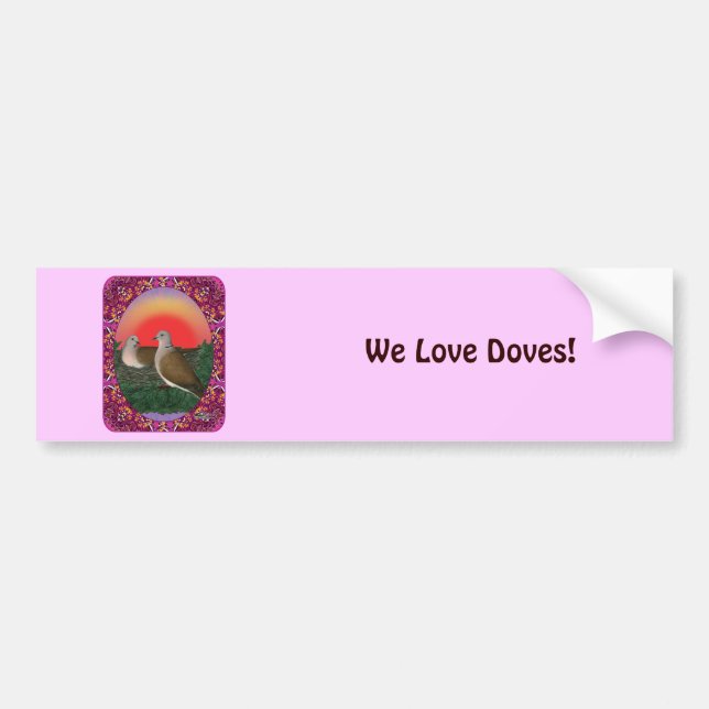 Doves Framed Bumper Sticker (Front)
