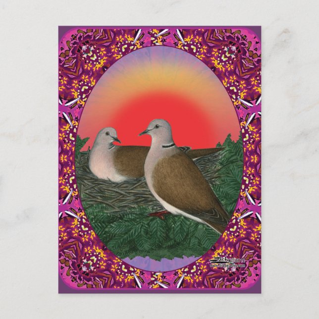 Doves Framed Postcard (Front)