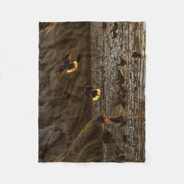 Doves in Morning light Fleece Blanket (Front)