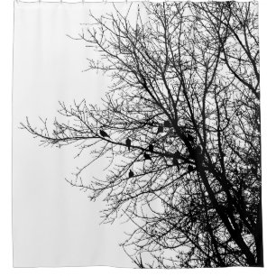 Doves in Tree Monochrome High Contrast Minimalist Shower Curtain