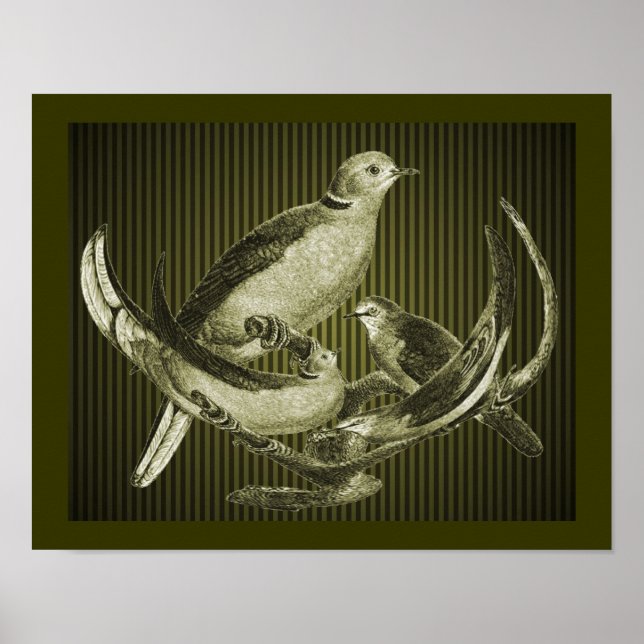 Doves On Branch Animal Art  Poster (Front)