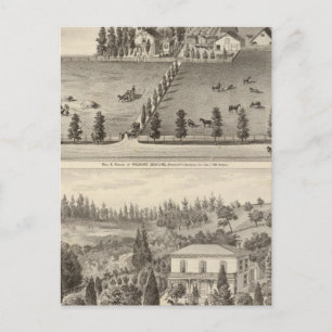 Dowling, Marston residences Postcard