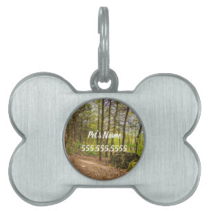 Down And Around Pet Tag