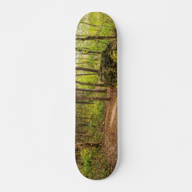 Down And Around Skateboard (Front)