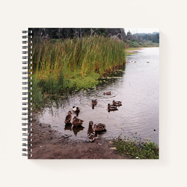 Down at the swamp.... notebook (Front)